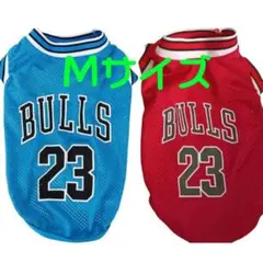 Item thumbnail for item bc07c713-4f75-41c5-8314-c2409609d571