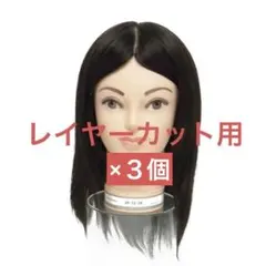 新品カットウィッグ ユーカリジャパン美容師実技試験用B-002 3体セット