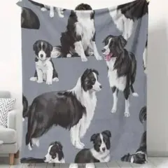 Item thumbnail for item 1b135fc1-9d9a-47d5-b5a8-3d915d0eae05