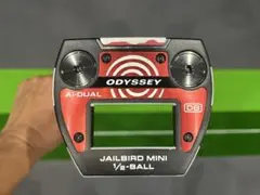 レフティー！左利き！Odyssey Ai-DUALJAILBIRD MINIのサムネイル