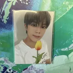 VERIVERY ドンホン トレカ