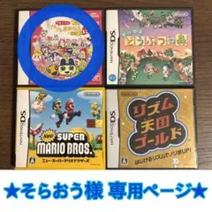 ★そらおう様 専用ページ★【Nintendo DS】ソフトケース