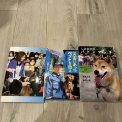 Item thumbnail for item e16a3e31-3954-4f23-b0b5-d32366808249