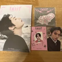 straykids do it accordion リノセット