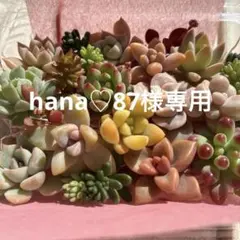 hana♡87様 リクエスト 2点 まとめ商品