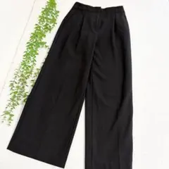 PLST プラステ 黒 ワイドパンツ プリーツ入り サイズM