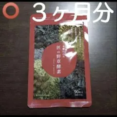 Item thumbnail for item 75072df3-4964-4a31-8a79-3b3c106ee6b7