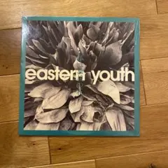 2026年最新】eastern youth レコードの人気アイテム - メルカリ