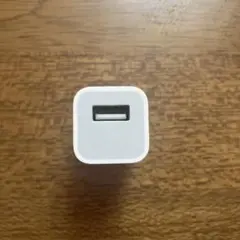 Apple USB電源アダプタ