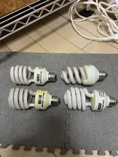 Item thumbnail for item 4851d9d0-a308-4871-814d-19b42bcb30f1