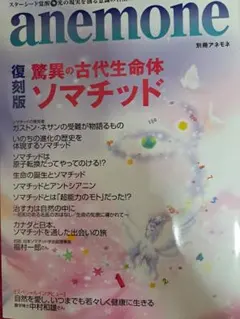 Inoyamaland/Egyptology イノヤマランド CD-R - メルカリ