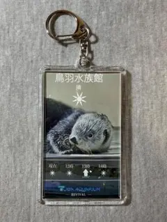 鳥羽水族館 ラッコ メイ キラ 2025 復刻版 梅雨Ver. アクキー - メルカリ