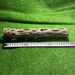 Item thumbnail for item 9962ecd8-036a-49dd-a36c-125cd4edc266