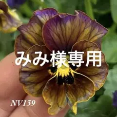 みみ様専用•*¨*•.¸♬︎のサムネイル