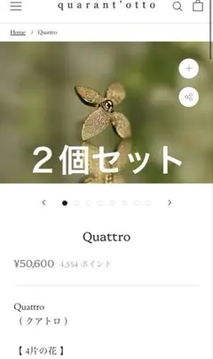 2026年最新】クアラントット の人気アイテム - メルカリ