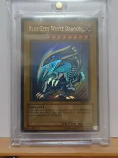 【希少】青眼の白龍sdk wave 青眼の白龍 sdk」の激安通販 | magi