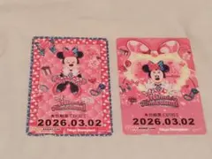 ディズニー　ミニーの日　3月2日　リゾートライン　フリーきっぷ　2枚セット②