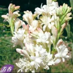 ゆっこ様 リクエスト 2点 まとめ商品