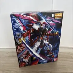 2026年最新】MG 機動戦士ガンダムSEED ASTRAY ガンダムアストレイ