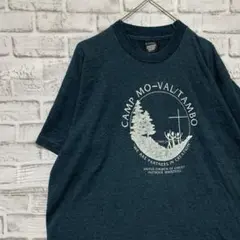 USA製90sヴィンテージTシャツ！シングルステッチ　ブルー半袖古着XL 16