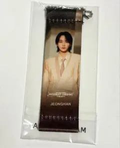 SEVENTEEN RIGHT HERE カプセルトイ フラッグ ジョンハン