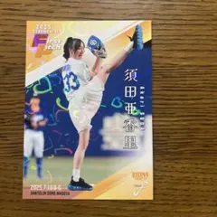 Item thumbnail for item e4d13ba1-28f0-4819-8460-e0b984aa4163