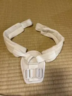 Item thumbnail for item b2d2407f-5c5b-41fe-9086-e6d4ffacc8bf