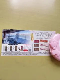 ☆☆万葉の湯　入浴割引券・非売品☆☆