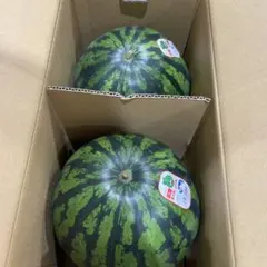 367千葉県産富里大玉スイカブラックジャックC品3Lサイズ1箱2玉入り 
