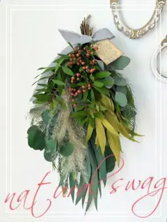 2025年最新】グレビレアゴールドの人気アイテム - メルカリ