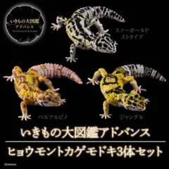 D*i様 いきもの大図鑑　プレミアムバンダイ限定　3体セット　ヒョウモントカゲモ