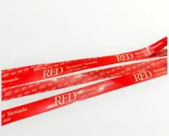 Ryosuke Yamada RED LIVE TOUR 2025