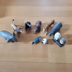 動物フィギュア10体セット　タカラトミー　アニア