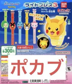 ポケモン ライトブレス ポカブ