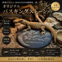 バスキングストーン　オリジナルデザイン　オーダーメイド　UVB トゲオアガマのサムネイル