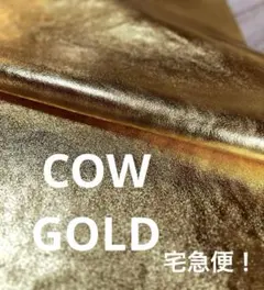 Item thumbnail for item 01657024-9897-4c9e-9b92-53d6903d5862