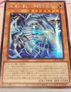 白き幻獣 青眼の白龍 アジア シークレット