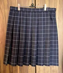 プリーツスカート 特大サイズ なんちゃって制服