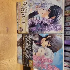 黒狼王と白銀の姫君 1・2巻セット