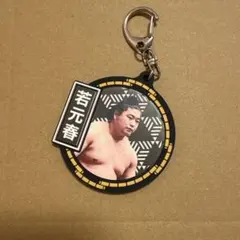 2025年最新】若元春の人気アイテム - メルカリ