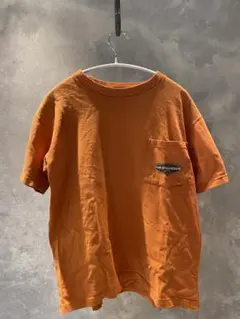 Item thumbnail for item 341b2967-89d3-4717-a6f9-19a1fb83d788