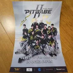 【非売品】PIT BABE BenzGarfield 直筆サイン入りポラロイド 非売品】PIT BABE BenzGarfield 直筆サイン入りポラロイド