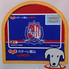 薄ピステカターレ富山支給品　練習着　希少 スポンサーロゴMサイズ上下ネイビー 薄ピステカターレ富山支給品 練習着 希少 スポンサーロゴMサイズ