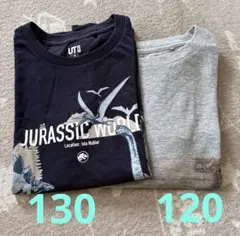 UNIQLO Tシャツ　130 120 サイズ違い　恐竜柄　2枚セット