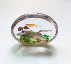 ハーバリウム アクアリウム 金魚☆*:.。 - メルカリ