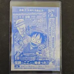 モンキー・D・ルフィ：週刊少年ジャンプ付録6.7特大号　ワンピースカード