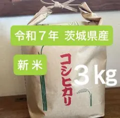 新米 令和７年度　コシヒカリ 100% 3kg 茨城県産　農家直送　送料込みのサムネイル