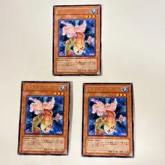 2025年最新】字レアガールの人気アイテム - メルカリ