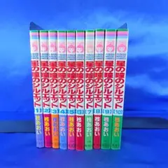 【全巻セット】星の瞳のシルエット 1～10巻