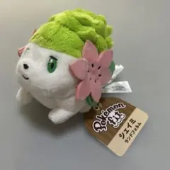 2026年最新】ポケモンセンター シェイミ ぬいぐるみの人気アイテム